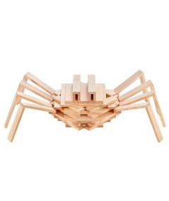 Construcción Kapla challenge