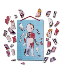 Cuerpo humano magnético en 12 idiomas