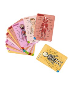 Cuerpo humano magnético en 12 idiomas