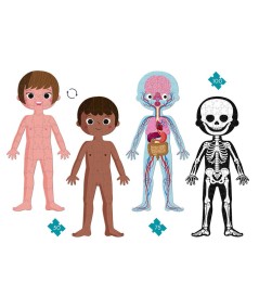 Puzzle educativo cuerpo humano 50-75-100 pzas