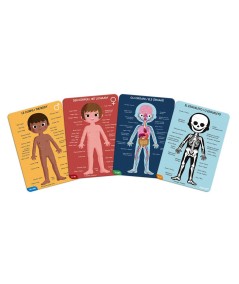 Puzzle educativo cuerpo humano 50-75-100 pzas