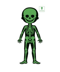 Puzzle educativo cuerpo humano 50-75-100 pzas