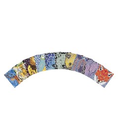 Set scratch art tarjetas animales