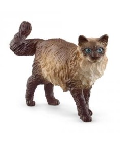 Gato Ragdoll. Schleich