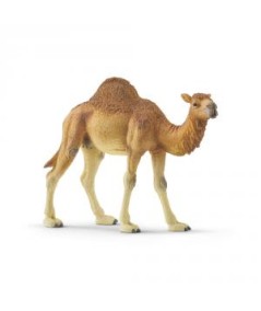 Dromedario. Schleich
