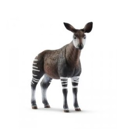 Okapi. Schleich
