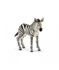 Cría de cebra. Schleich