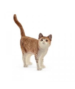 Gato