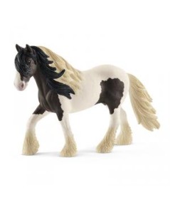 Caballo semental Tinker