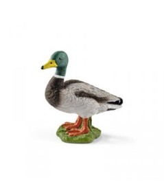 Pato