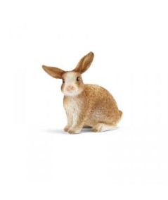 Conejo
