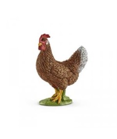 Gallina