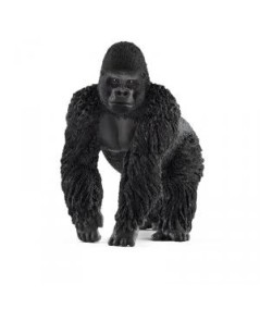 Gorila macho
