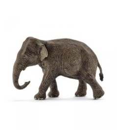 Elefante asiático hembra