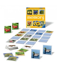 Memory nature