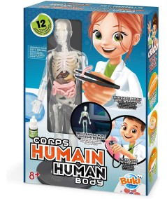 CUERPO HUMANO