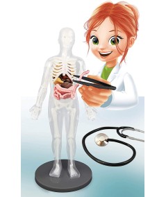 CUERPO HUMANO