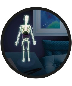 CUERPO HUMANO