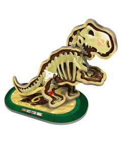 DINO BONES