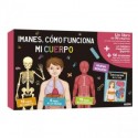 CÓMO FUNCIONA MI CUERPO