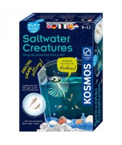 SALTWATER CREATURES