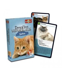 CARTAS DESAFIOS NATURALEZA GATOS