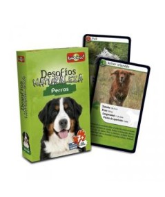 CARTAS DESAFIOS NATURALEZA PERROS