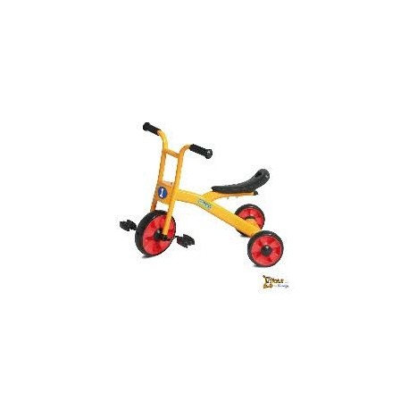 Triciclo Endurance Trike