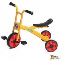 Triciclo Endurance Trike